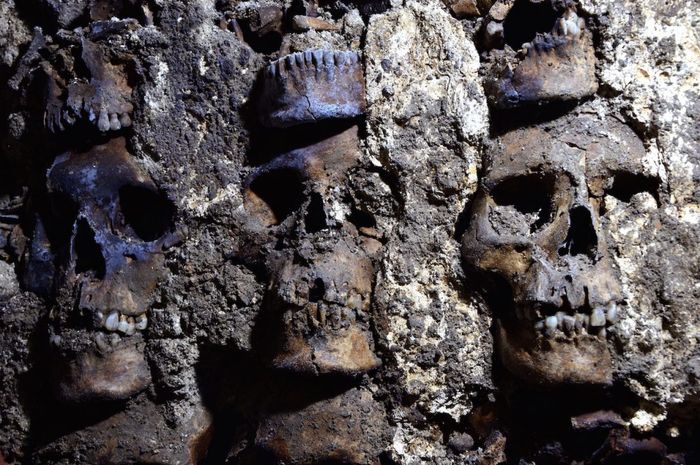 Hui Tzompantli, Torre del Cráneo Humano Azteca – Todas las páginas