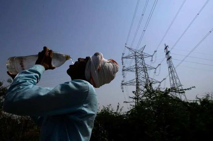 Heat wave in India Worrying, dozens of people died from heatstroke – All pages