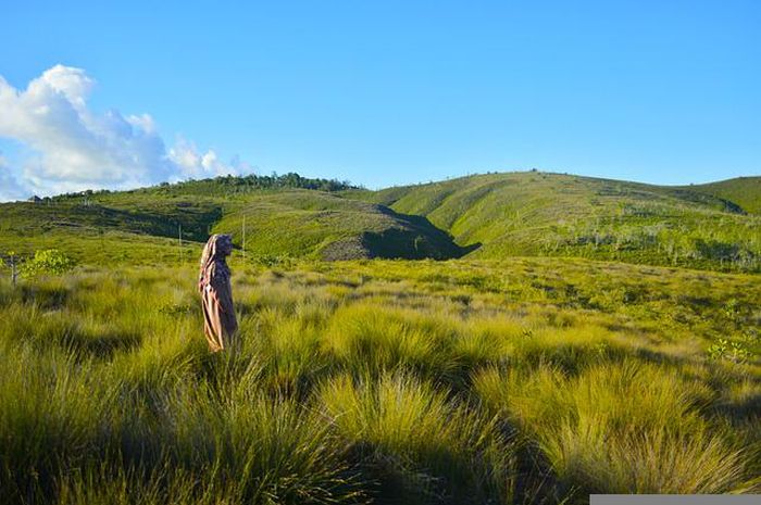 Bentang Alam Pulau Sulawesi Secara Umum, Cari Jawaban Kelas 5 Tema 1  Bobo