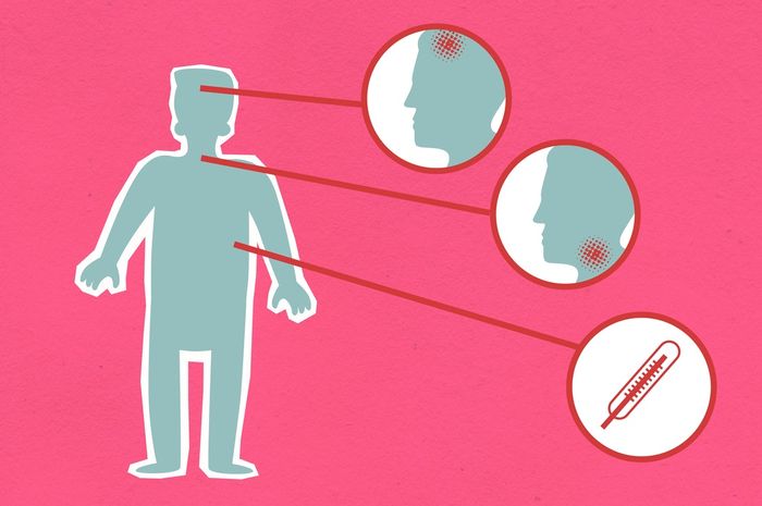 infeksi bakteri Salmonella