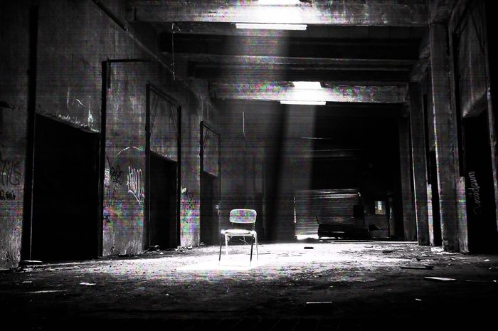 Jangkrik yang Misterius