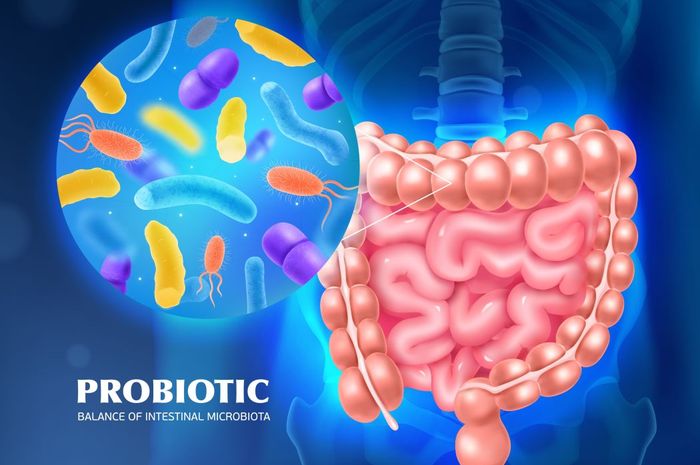 Manfaat Konsumsi Probiotik untuk Pencernaan yang Sehat dan Optimal