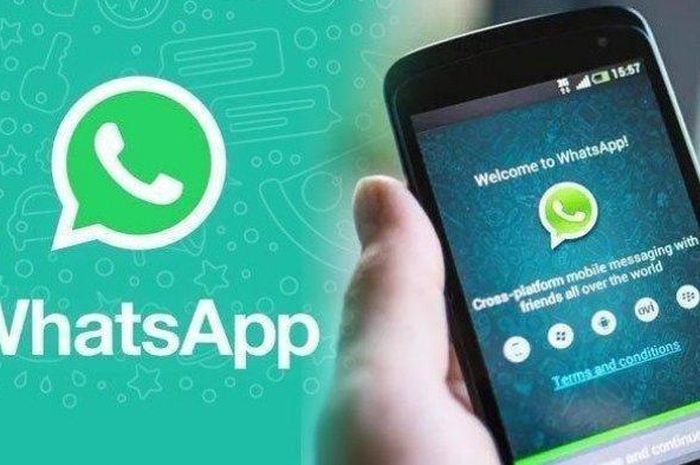 Cara Membuat Whatsapp Centang 1 Namun Online, Privasi Lebih Terjaga - HIts