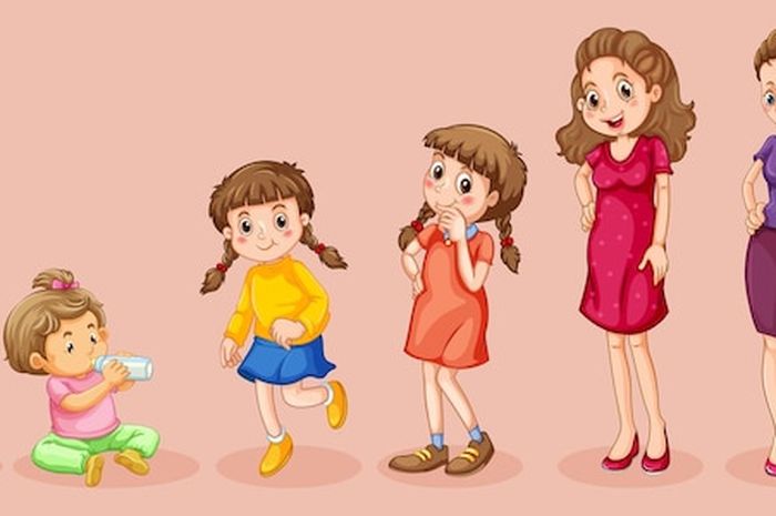 Tahapan Pertumbuhan pada Manusia, Materi IPA Kelas 5 SD Tema 5 - Kids