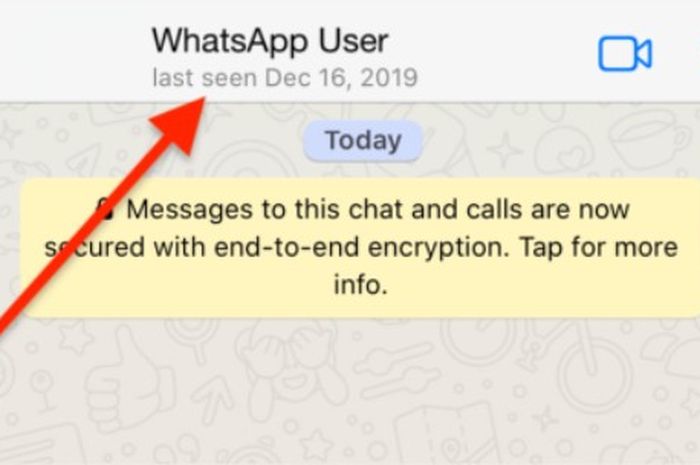 Terbongkar Cara Lihat Last Seen WhatsApp yang Disembunyikan Cocok