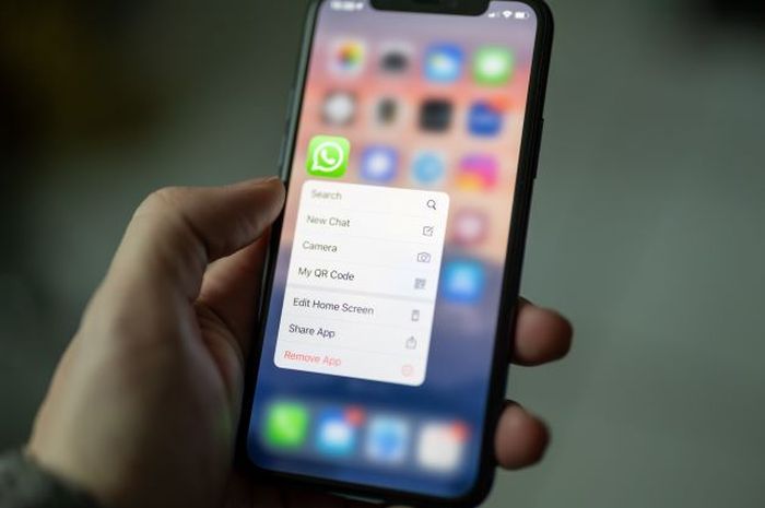 Cara Mengaktifkan Privacy Mode di WhatsApp