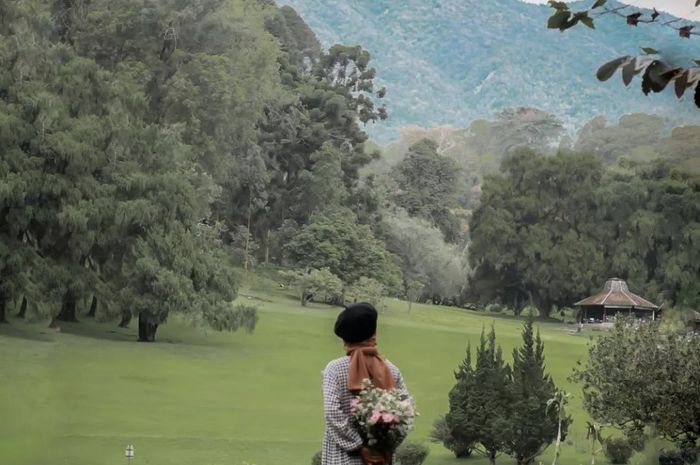 Cocok Jadi Lokasi Foto Aesthetic, 10 Tempat Wisata di Puncak Bogor