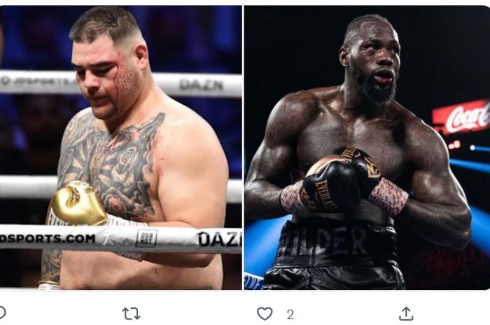 Montase foto dua petinju kelas berat, Andy Ruiz Jr. (kiri) dan Deontay Wilder (kanan)