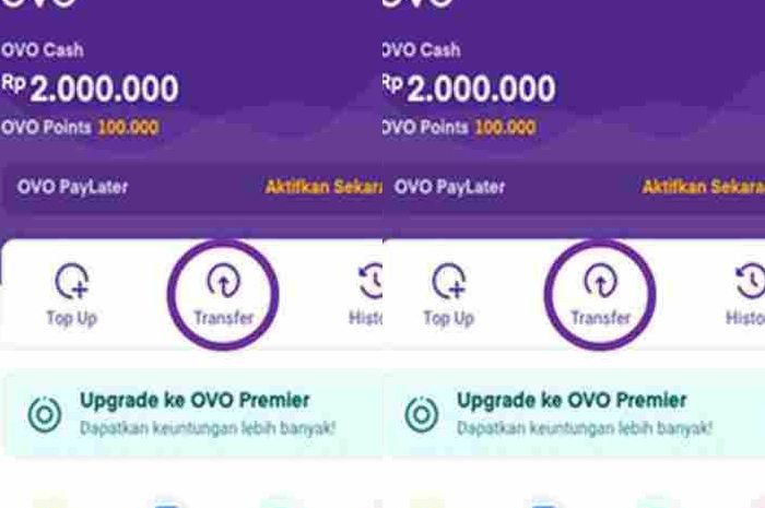 Cara transfer uang dari ovo ke bank lokal