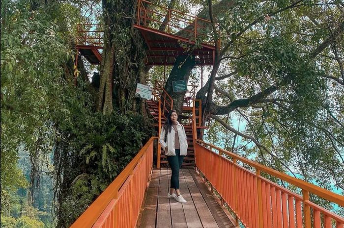Masuk Daftar Liburan Keluarga, Ini 7 Tempat Wisata di Bogor Bisa