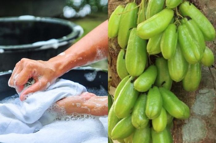 Pakai Pemutih Malah Makin Rusak Cara Bersihkan Noda Luntur Pakaian 