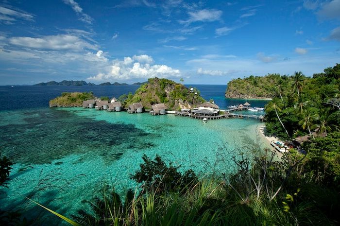 13 Fakta Menarik Taman Nasional Teluk Cenderawasih, Tempat Menyelam