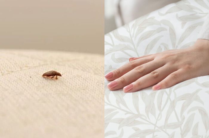 Ciri-ciri Kasur yang Ada Tungaunya Ternyata Begini, Banyak yang Sering