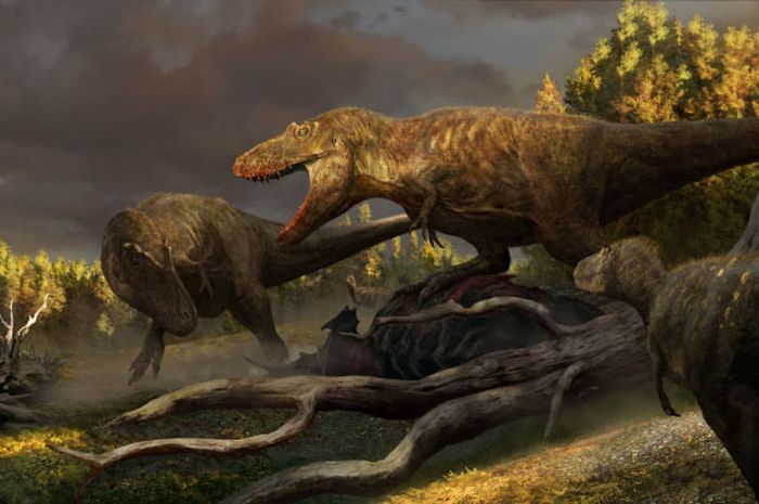 Daspletosaurus horneri, una nueva especie de Tyrannosaurus, el ancestro del T. rex