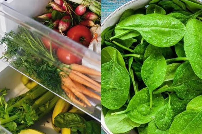 Cara Menyimpan Bayam di Kulkas