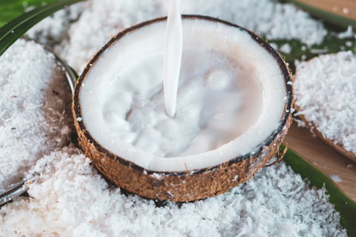 6 Bahan Pengganti Santan untuk Masakan, Lebih Sehat dan Tetap Bikin