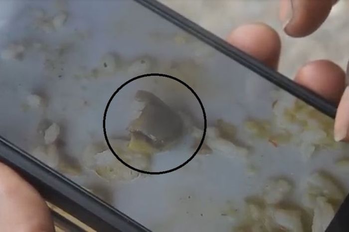 Foto potongan kecil jari manusia di sayur lodeh yang ditemukan di Indonesia.