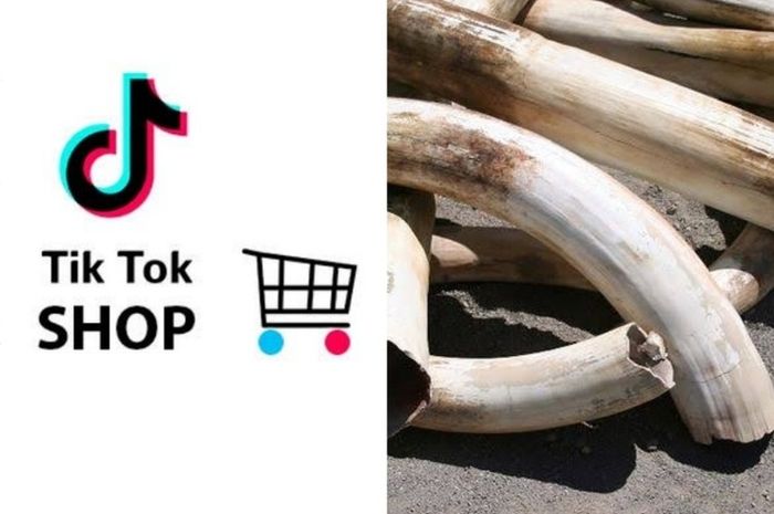 Rahasia di Balik Layar: Mengapa Beberapa Produk Tak Tersentuh E-commerce