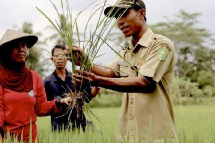 Bank Soal PPPK 2022, Ini Contoh Soal P3K Tenaga Teknis untuk Jabatan