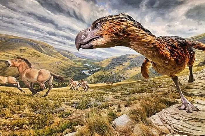 Hace millones de años, gigantescas aves rapaces aterrorizaban la Tierra