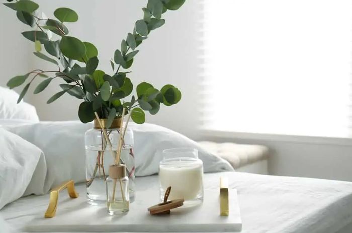 Aroma Ajaib Amorens: Rahasia Rumah Wangi Seharian!