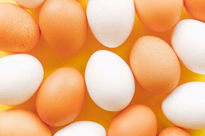 Stop konsumsi telur dengan sederet bahan makanan ini