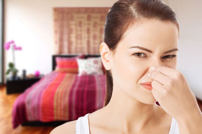 Cara menghilangkan bau tak sedap di toilet pedesaan: 2 trik yang banyak dilupakan orang