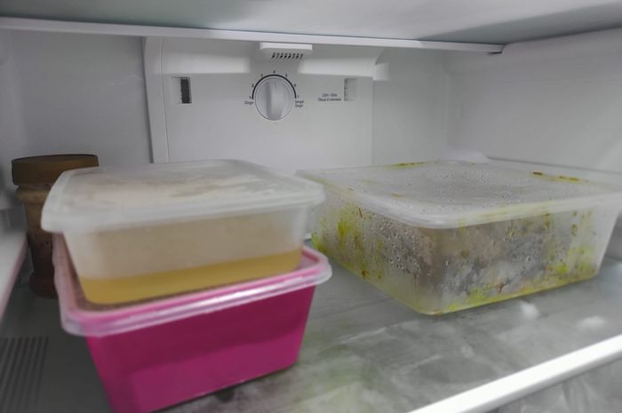 Suhu Kulkas yang Aman agar Makanan Tetap Awet dan Tidak Cepat Basi - Nakita