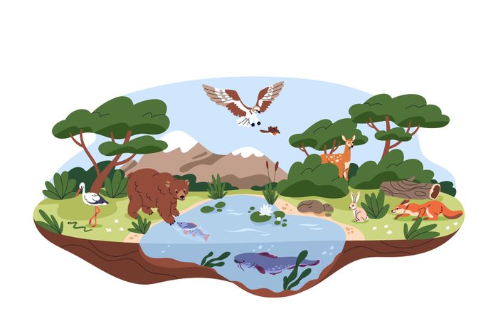 Materi IPA, Mengenal Komponen Biotik dan Abiotik Beserta Contohnya - Bobo