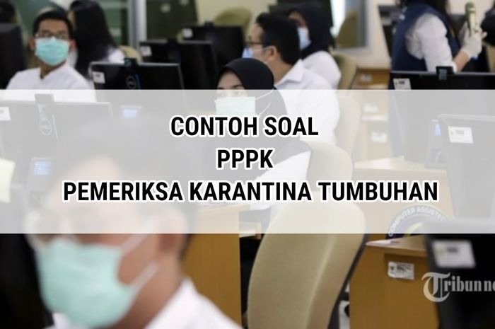 Bank Soal PPPK 2022, Ini Contoh Soal P3K Tenaga Teknis untuk Jabatan