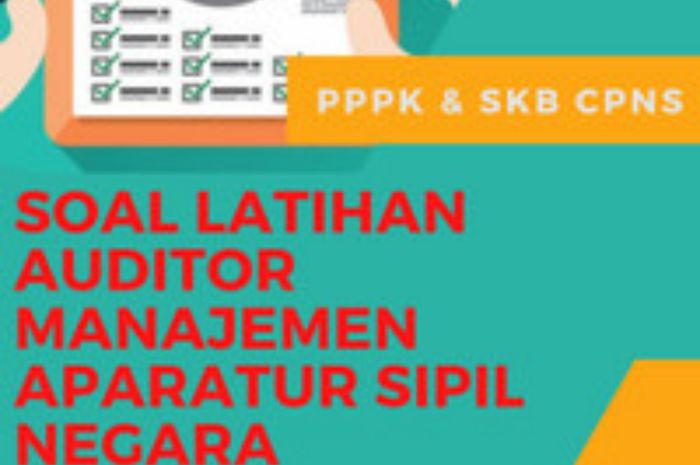Bank Soal PPPK 2022, Ini Contoh Soal P3K Teknis untuk Jabatan Auditor
