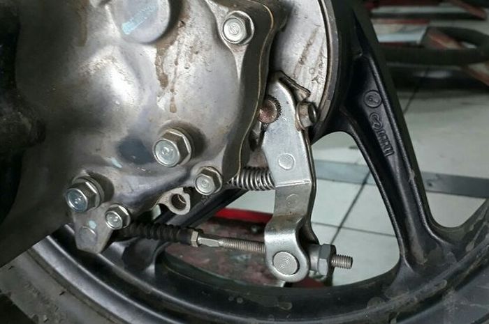 Biasanya Muncul Setelah Hujan, Begini Trik Menghilangkan Bunyi Decit di ...