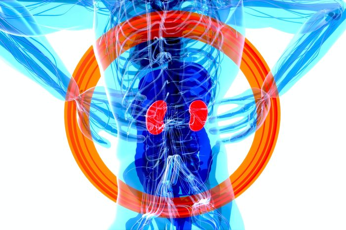 Waspadai Bengkak di Area Mata, Berikut Gejala Ginjal yang Tidak Sehat