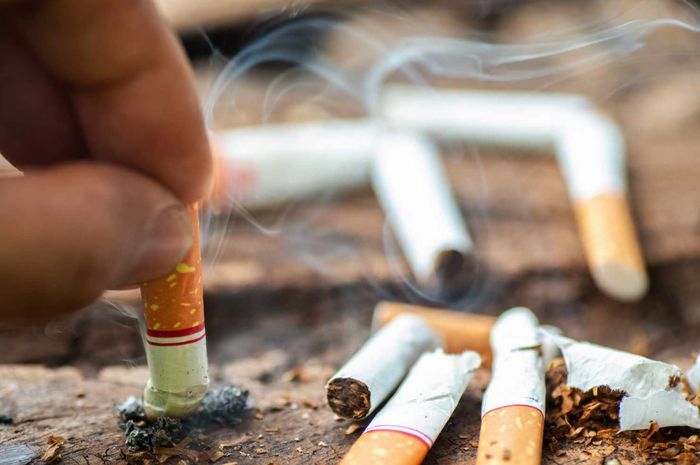 Bau Rokok Mau Tahu Cara Menghilangkan Bau Rokok Bekas Suami dalam Hitungan Menit ...
