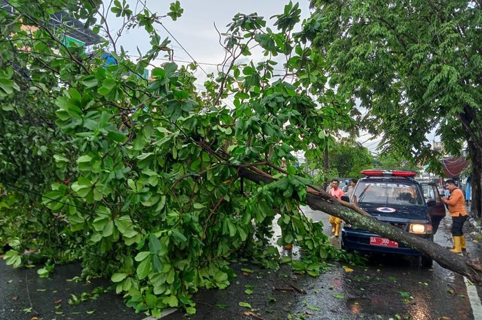 5 Arti Mimpi Kesehatan Membaik: Sebuah Sinyal Kuat Menuju Kesembuhan