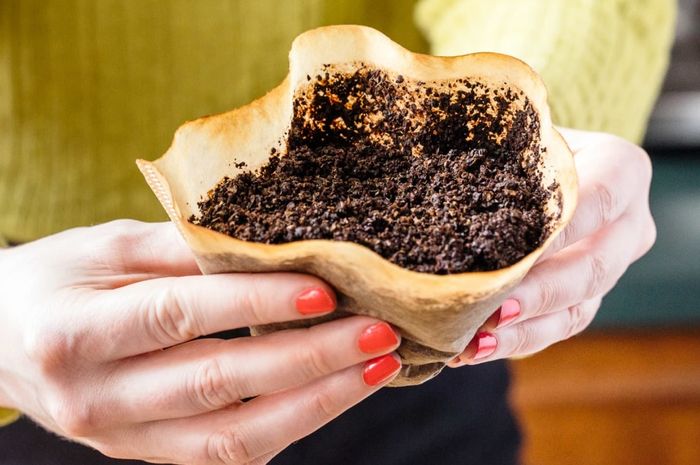 Throwing Out Coffee Grounds Is A Massive Mistake. Here's Why