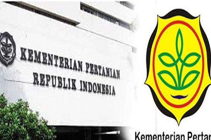 Bank Soal PPPK 2023, Ini Kisi-kisi dan Contoh Soal P3K Formasi Analis