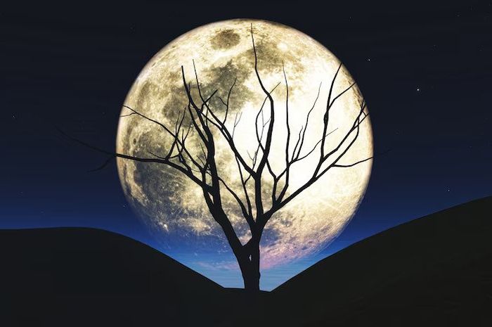 Terlihat Berbeda-Beda di Setiap Waktu, Apakah Warna Asli Bulan? - Kids