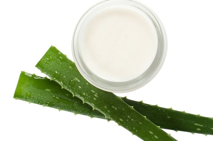 Cara Memutihkan Wajah dengan Lidah Buaya, Bikin Masker dari Bahan Ini