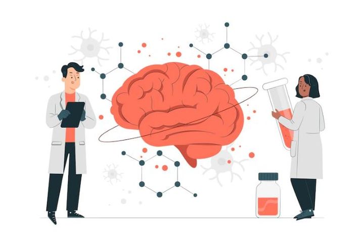 2 Bagian Utama Sistem Saraf Manusia dan Penjelasannya, IPA Kelas 6 SD