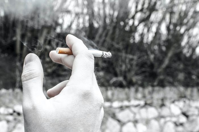 Tolong Jangan Lakukan Lagi Ini Dampak Buruk Rokok Pada Tingginya Tolong Jangan Lakukan Lagi Ini Dampak Buruk Rokok Pada Tingginya