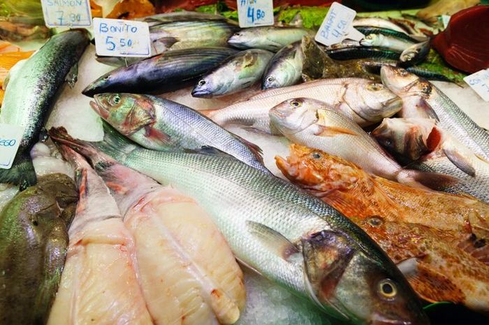 Apakah yang Membuat Ikan Mengeluarkan Bau Amis? #AkuBacaAkuTahu - Kids