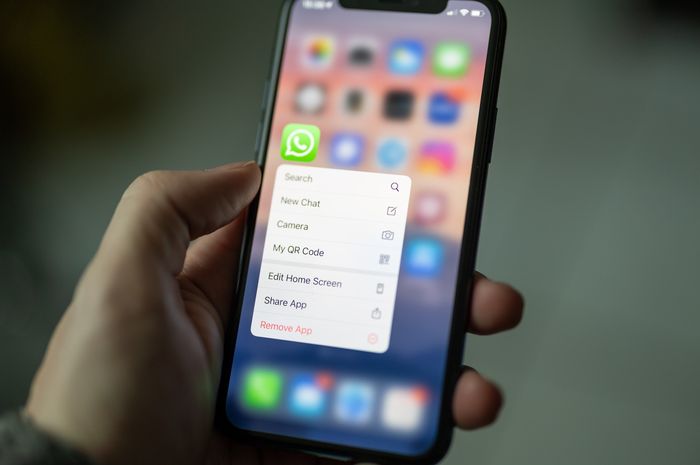 Cara Menghapus Video dan Foto WhatsApp yang Menumpuk, Memori Handphone Langsung Kosong! - Grid ID | Opsitek-1