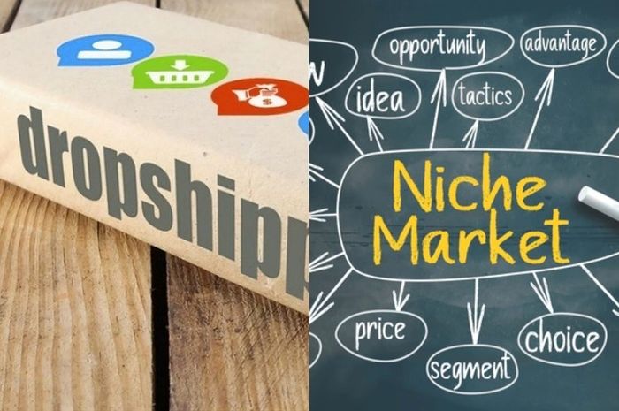 Judul: Raih Keuntungan Menggunung! 7 Rahasia Memilih Niche Dropshipping yang Pasti Menguntungkan di 2024