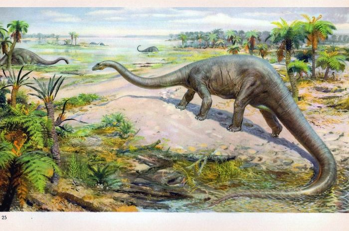 Inilah 10 Fakta Menarik tentang Sauropoda, Makhluk Terbesar di Era Mesozoikum