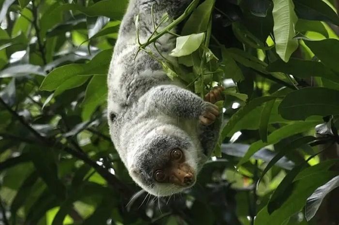 seseorang duduk di bawah pohon dengan ekspresi sedih, menggenggam benda yang tampaknya kosong
