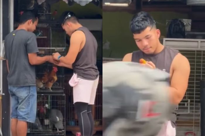 Saaih Halilintar beri tanggapan soal konten lepas burung lovebird.