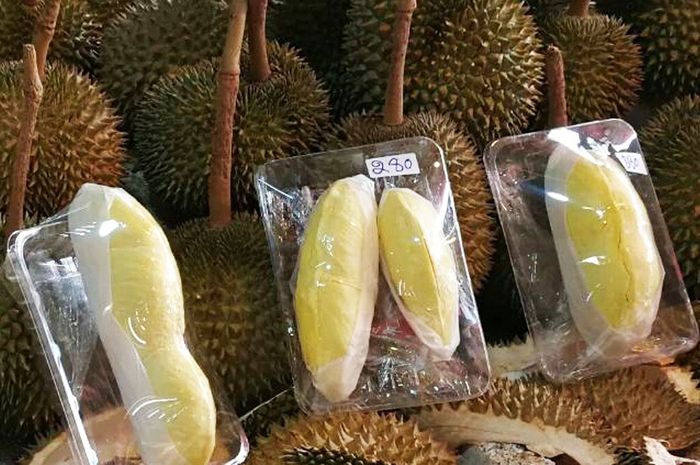 Durian Montong, Si Bantal Emas Rajanya Buah Bobo