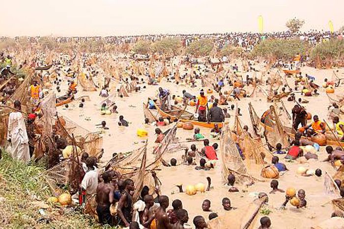 Festival Argungu, Festival Nelayan di Nigeria Bobo