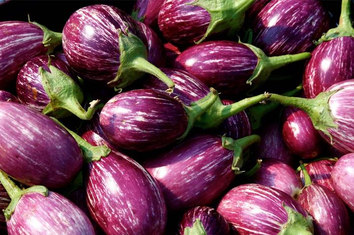 Tak Banyak yang Tahu Kalau Makanan Ini Termasuk Makanan Sehat Bobo